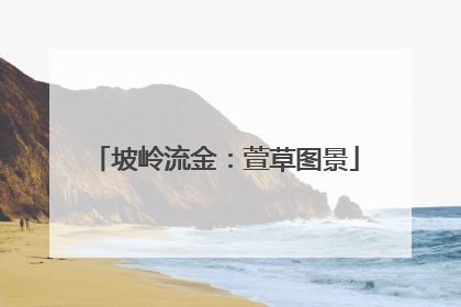 坡岭流金：萱草图景