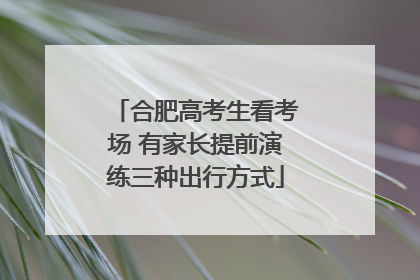合肥高考生看考场 有家长提前演练三种出行方式