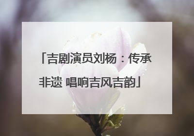 吉剧演员刘杨：传承非遗 唱响吉风吉韵