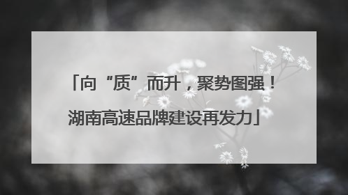 向“质”而升，聚势图强！湖南高速品牌建设再发力