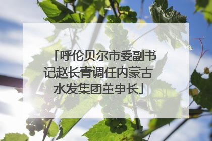 呼伦贝尔市委副书记赵长青调任内蒙古水发集团董事长