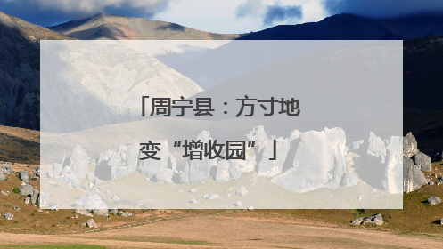 周宁县：方寸地变“增收园”