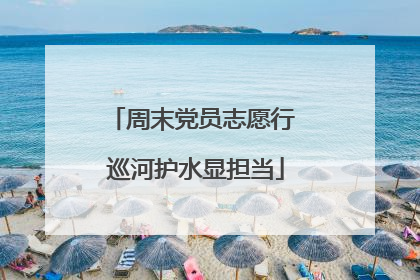 周末党员志愿行 巡河护水显担当