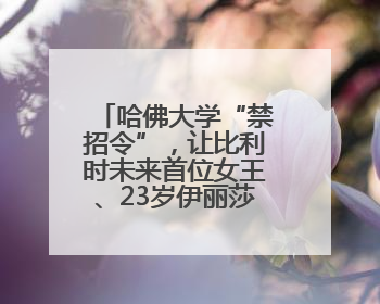 哈佛大学“禁招令”，让比利时未来首位女王、23岁伊丽莎白公主难毕业