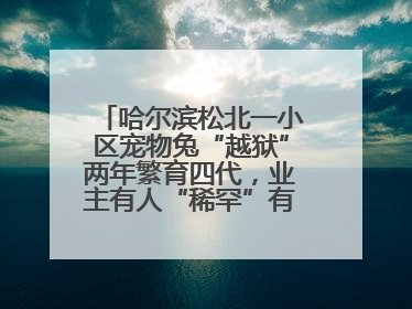 哈尔滨松北一小区宠物兔“越狱”两年繁育四代，业主有人“稀罕”有人忧，专家提醒