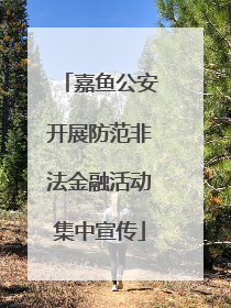 嘉鱼公安开展防范非法金融活动集中宣传