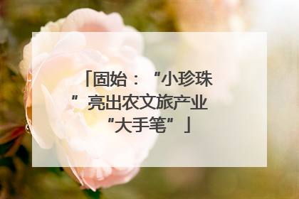 固始：“小珍珠”亮出农文旅产业“大手笔”