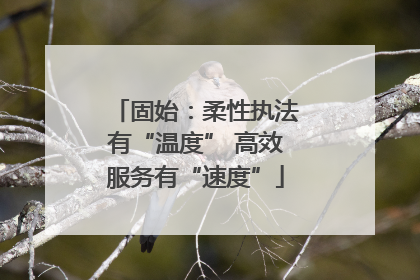 固始：柔性执法有“温度” 高效服务有“速度”