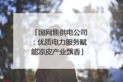 国网焦供电公司：优质电力服务赋能凉皮产业飘香