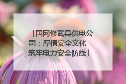 国网修武县供电公司：厚植安全文化 筑牢电力安全防线