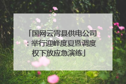 国网云霄县供电公司：举行迎峰度夏暨调度权下放应急演练