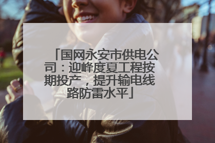 国网永安市供电公司：迎峰度夏工程按期投产，提升输电线路防雷水平