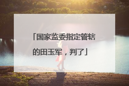 国家监委指定管辖的田玉军，判了
