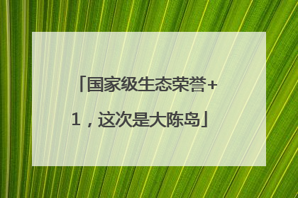 国家级生态荣誉+1，这次是大陈岛