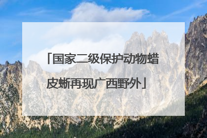 国家二级保护动物蜡皮蜥再现广西野外