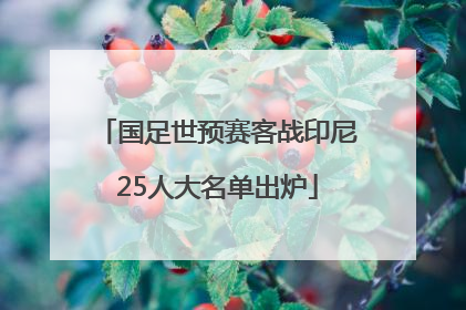 国足世预赛客战印尼25人大名单出炉