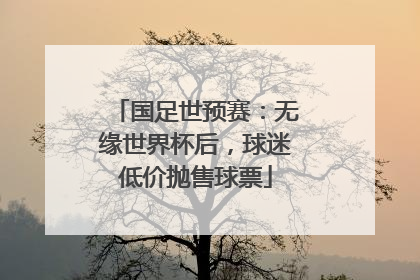国足世预赛：无缘世界杯后，球迷低价抛售球票
