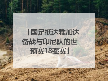 国足抵达雅加达备战与印尼队的世预赛18强赛