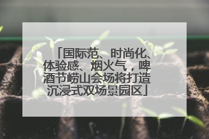 国际范、时尚化、体验感、烟火气，啤酒节崂山会场将打造沉浸式双场景园区