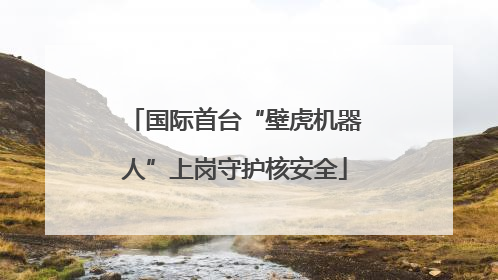 国际首台“壁虎机器人”上岗守护核安全