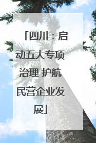 四川：启动五大专项治理 护航民营企业发展
