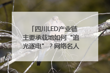 四川LED产业链主要承载地如何“追光逐电”？网络名人走进攀枝花找答案｜网络名人四川行