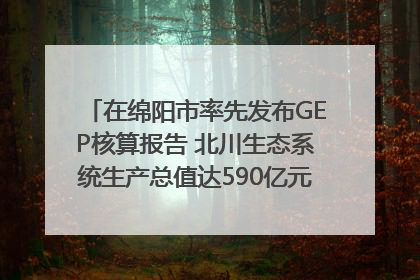在绵阳市率先发布GEP核算报告 北川生态系统生产总值达590亿元｜新闻发布最前线