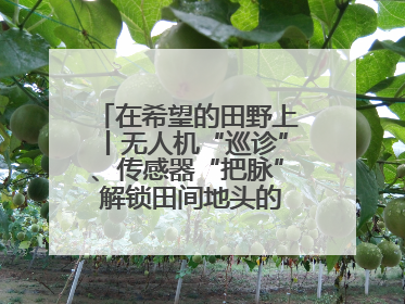 在希望的田野上丨无人机“巡诊”、传感器“把脉” 解锁田间地头的丰收密码