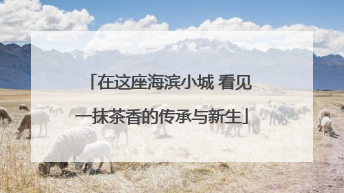 在这座海滨小城 看见一抹茶香的传承与新生