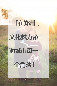 在郑州，文化魅力沁润城市每一个角落