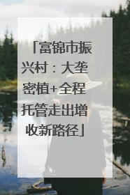 富锦市振兴村：大垄密植+全程托管走出增收新路径