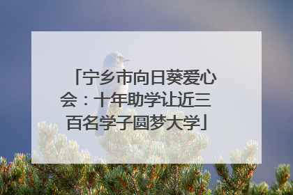 宁乡市向日葵爱心会：十年助学让近三百名学子圆梦大学