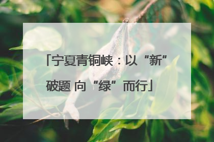 宁夏青铜峡：以“新”破题 向“绿”而行