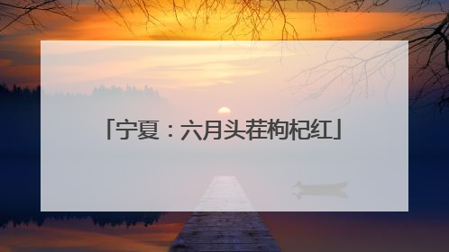 宁夏：六月头茬枸杞红