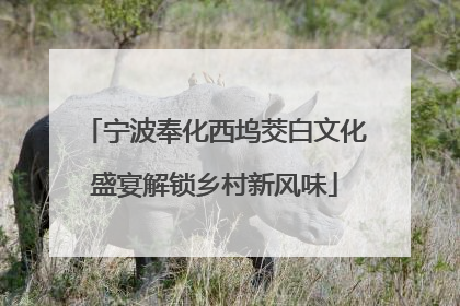 宁波奉化西坞茭白文化盛宴解锁乡村新风味