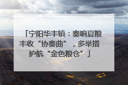 宁阳华丰镇：奏响夏粮丰收“协奏曲”，多举措护航“金色粮仓”
