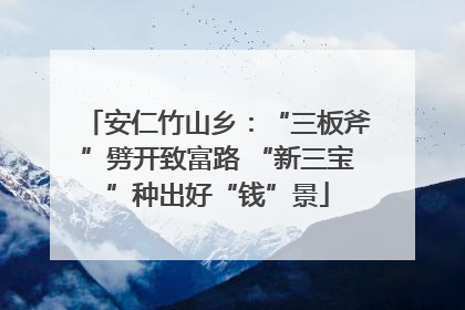 安仁竹山乡：“三板斧”劈开致富路 “新三宝”种出好“钱”景