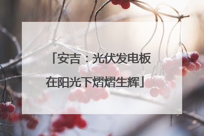 安吉：光伏发电板在阳光下熠熠生辉