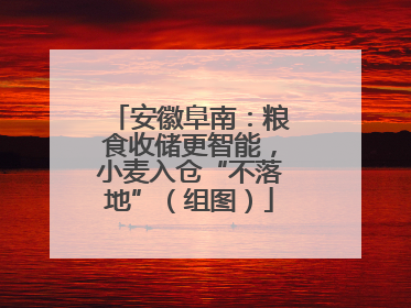 安徽阜南：粮食收储更智能，小麦入仓“不落地”（组图）