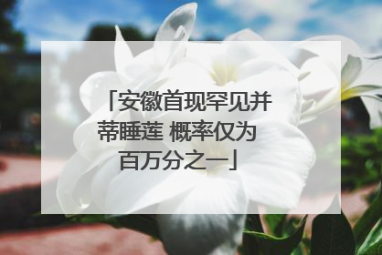 安徽首现罕见并蒂睡莲 概率仅为百万分之一