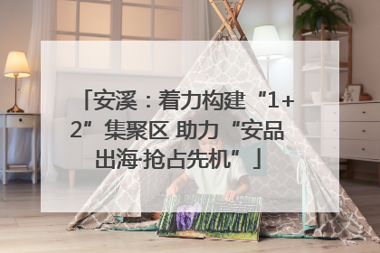 安溪：着力构建“1+2”集聚区 助力“安品出海·抢占先机”
