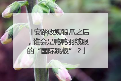 安踏收购狼爪之后，谁会是鸭鸭羽绒服的“国际跳板”？