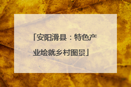 安阳滑县：特色产业绘就乡村图景