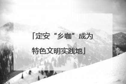 定安“乡咖”成为特色文明实践地