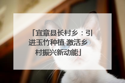 宜章县长村乡：引进玉竹种植 激活乡村振兴新动能