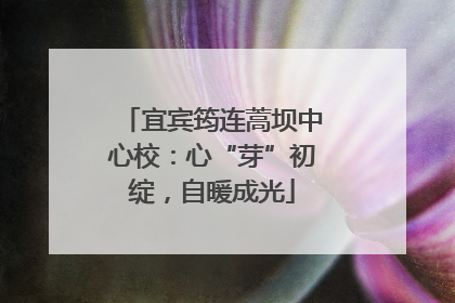 宜宾筠连蒿坝中心校：心“芽”初绽，自暖成光