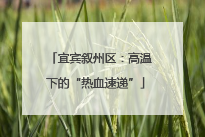 宜宾叙州区：高温下的“热血速递”