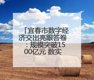 宜春市数字经济交出亮眼答卷：规模突破1500亿元 数实融合成效领跑全省（图）