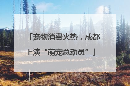 宠物消费火热，成都上演“萌宠总动员”