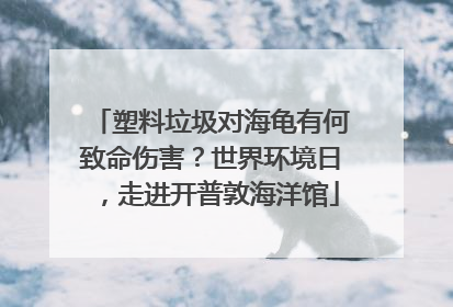 塑料垃圾对海龟有何致命伤害？世界环境日，走进开普敦海洋馆